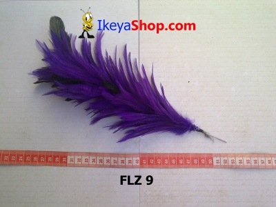 FLZ 9  large2